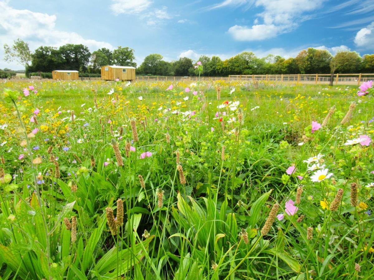 Honeysuckle Farm Holidays By Stay In Suffolk, Monk Soham Woodbridge Luaran gambar